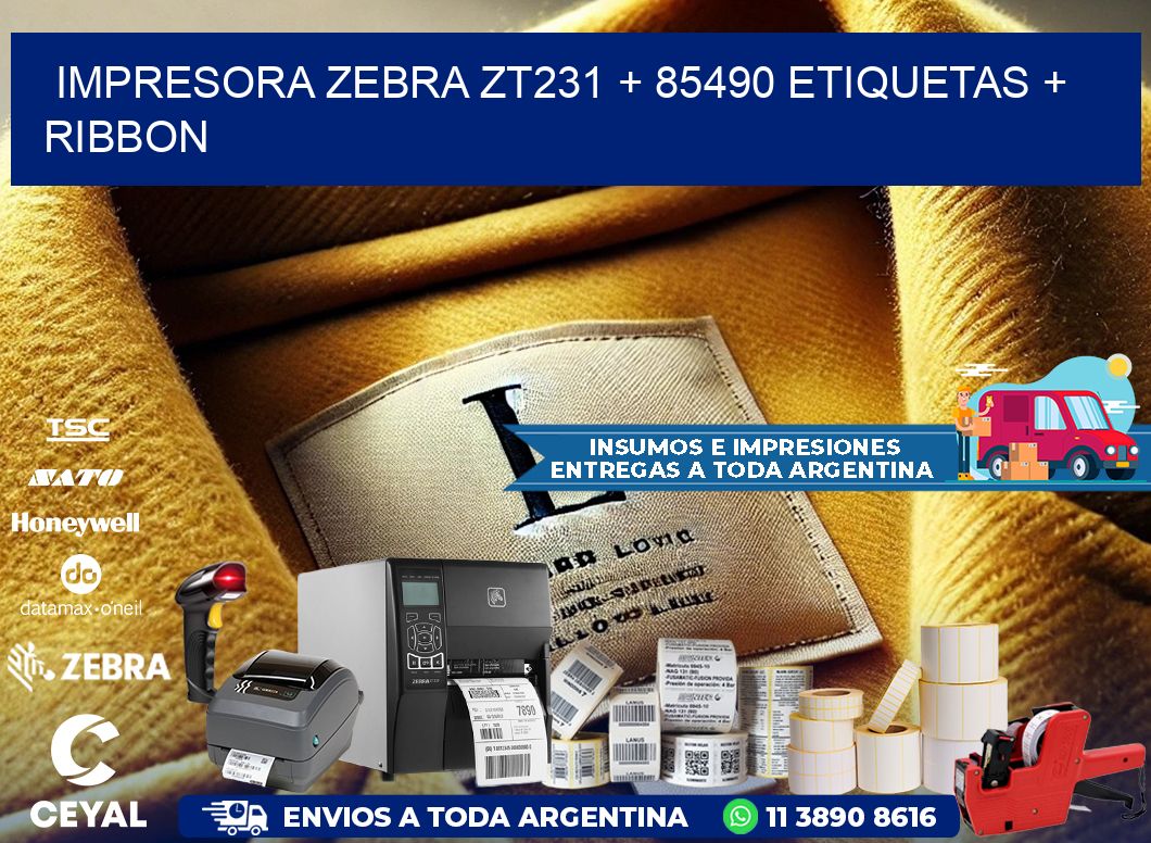impresora zebra zt231 + 85490 etiquetas + ribbon