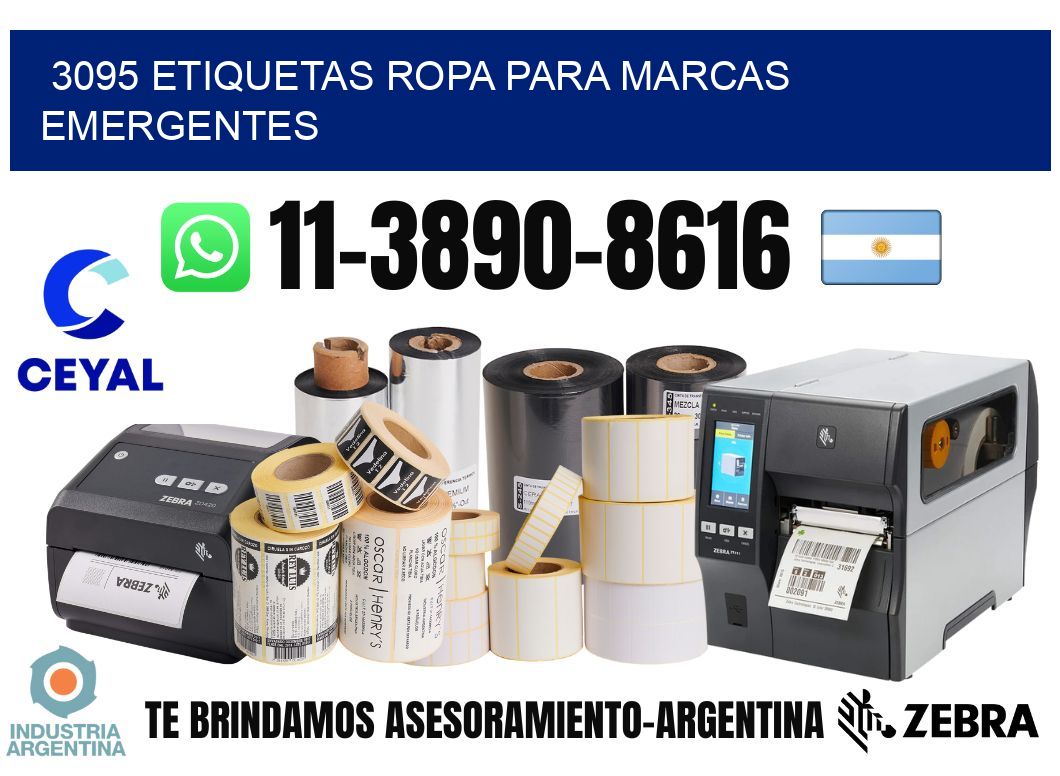 3095 Etiquetas ropa para marcas emergentes