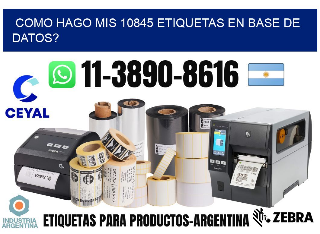 como hago mis 10845 etiquetas en base de datos?
