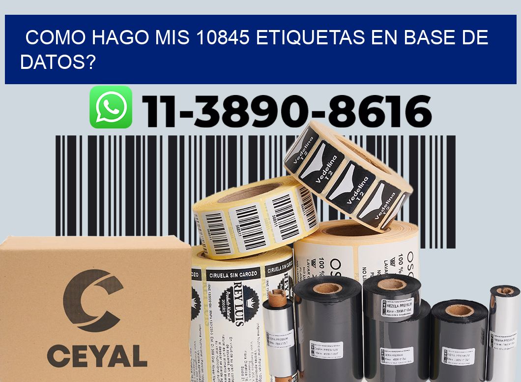 como hago mis 10845 etiquetas en base de datos?