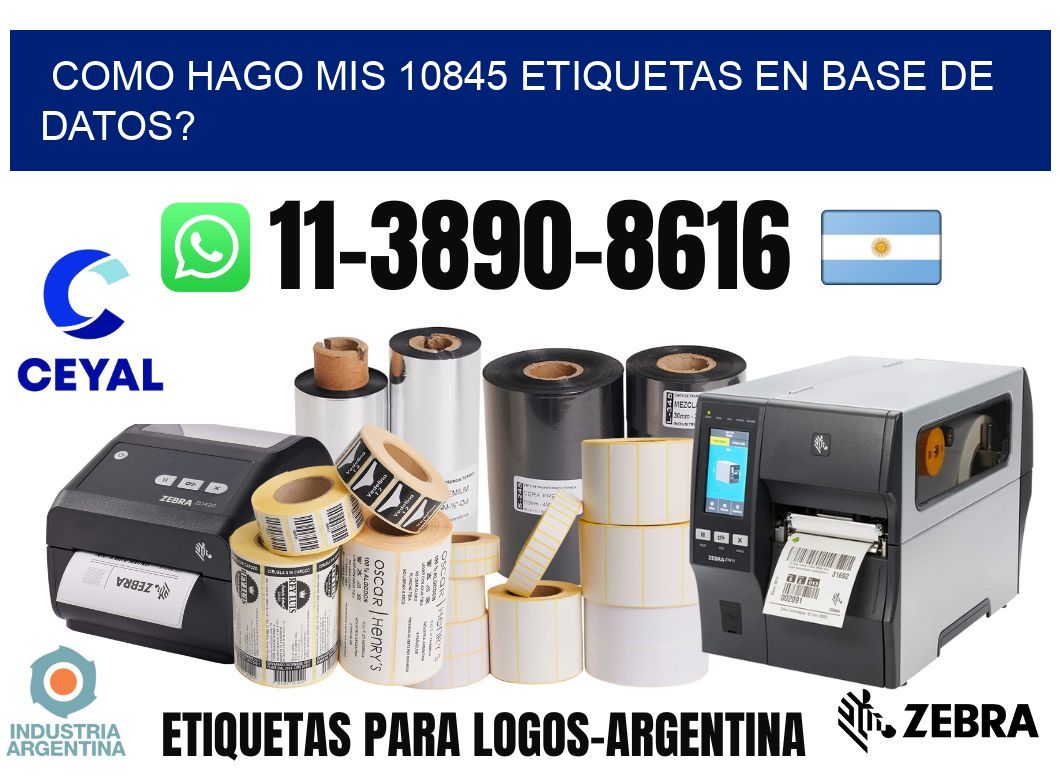 como hago mis 10845 etiquetas en base de datos?