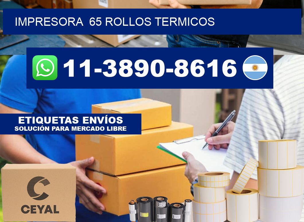 impresora  65 rollos termicos