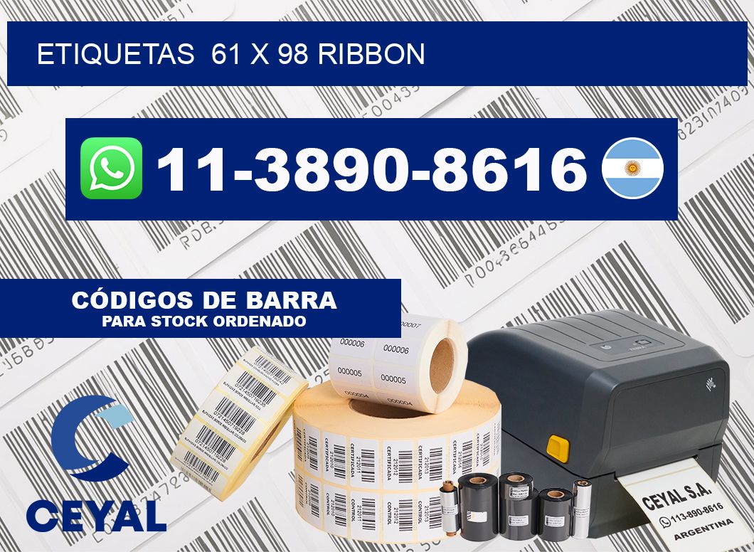 Etiquetas  61 x 98 ribbon