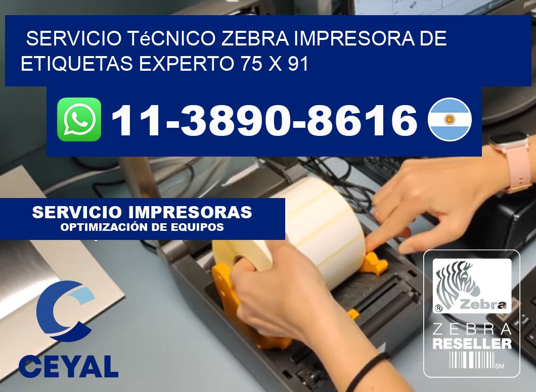 Servicio Técnico Zebra Impresora de Etiquetas Experto 75 x 91