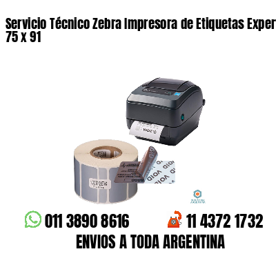 Servicio Técnico Zebra Impresora de Etiquetas Experto 75 x 91