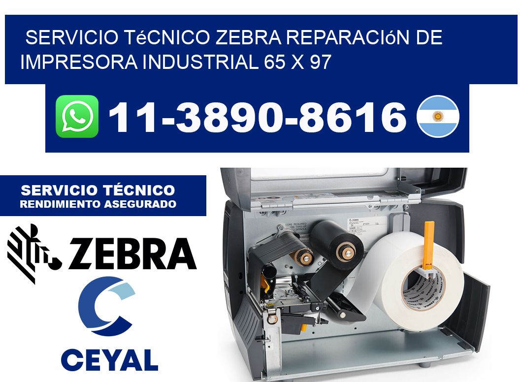 Servicio Técnico Zebra Reparación de Impresora Industrial 65 x 97