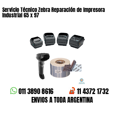 Servicio Técnico Zebra Reparación de Impresora Industrial 65 x 97