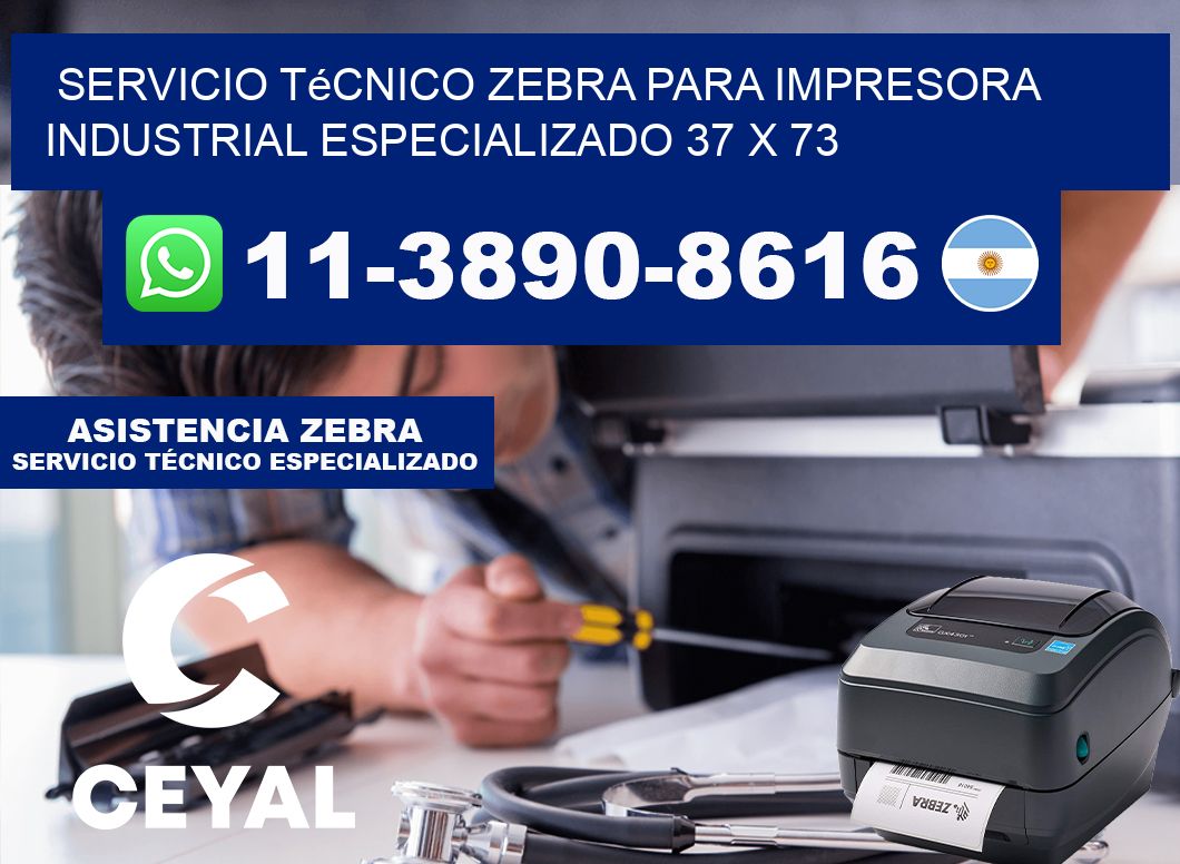 Servicio Técnico Zebra para Impresora Industrial Especializado 37 x 73