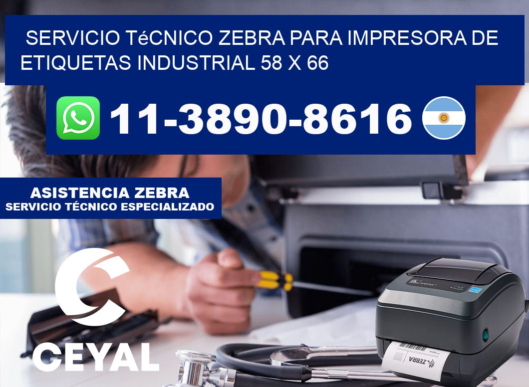Servicio Técnico Zebra para Impresora de Etiquetas Industrial 58 x 66