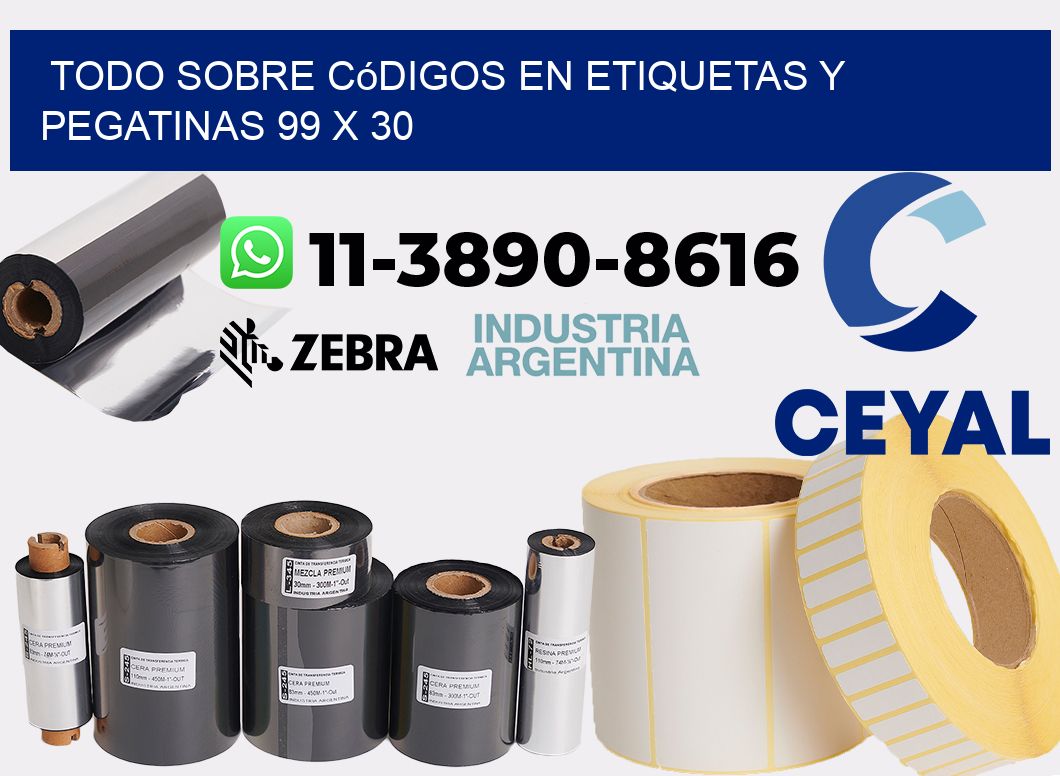 Todo sobre códigos en etiquetas y pegatinas 99 x 30