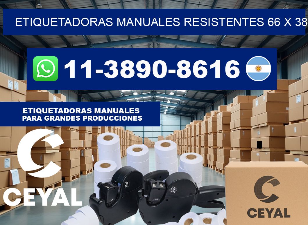 etiquetadoras manuales resistentes 66 x 38