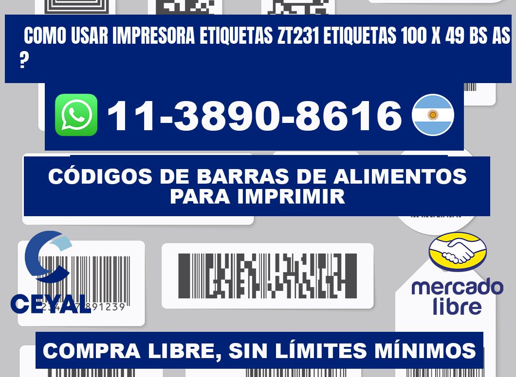 como usar impresora etiquetas zt231 etiquetas 100 x 49 BS AS ?