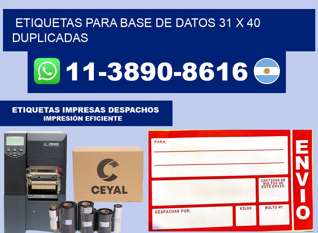 etiquetas para base de datos 31 x 40 duplicadas