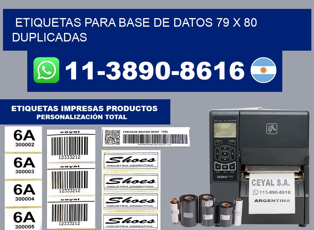 etiquetas para base de datos 79 x 80 duplicadas