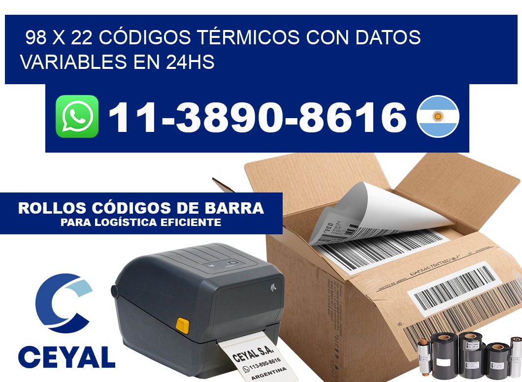 98 x 22 CÓDIGOS TÉRMICOS CON DATOS VARIABLES EN 24HS