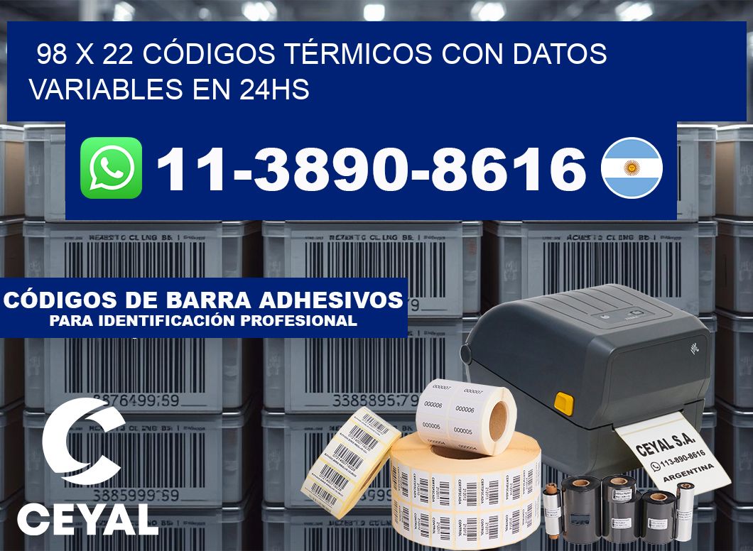 98 x 22 CÓDIGOS TÉRMICOS CON DATOS VARIABLES EN 24HS