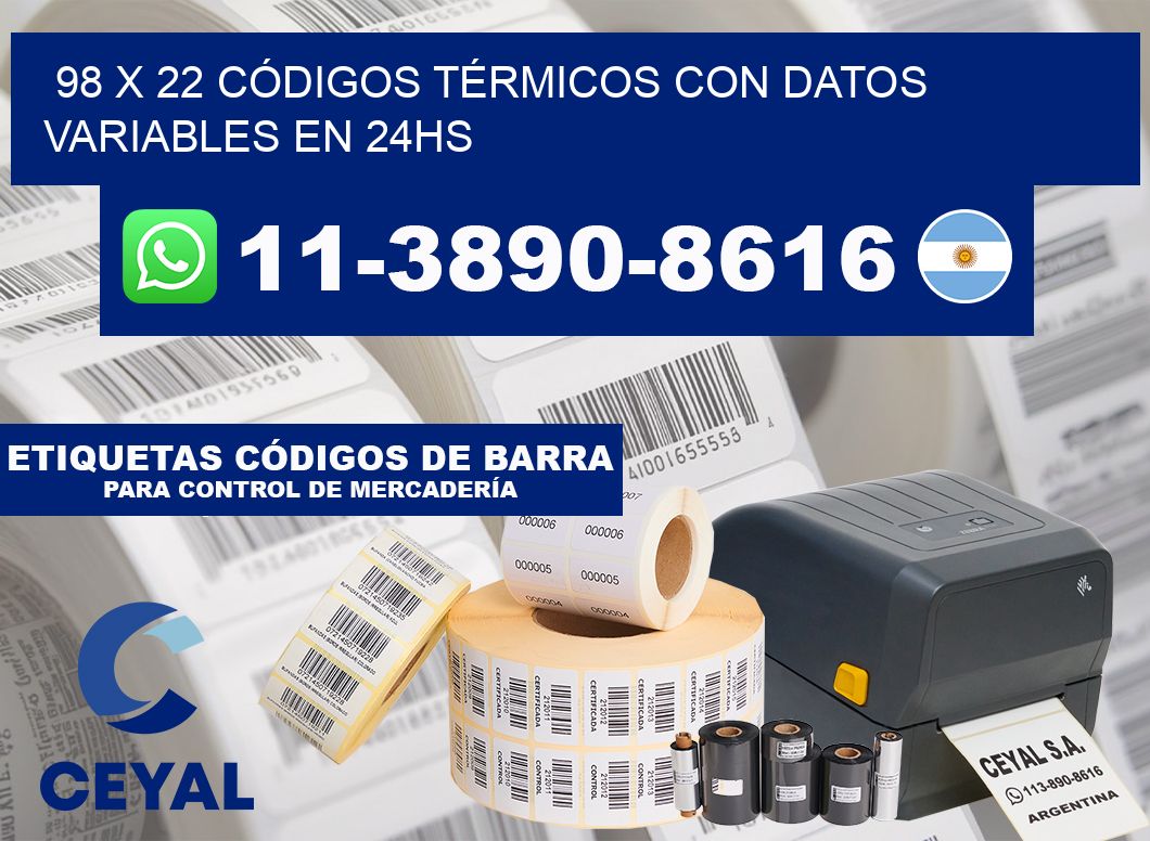 98 x 22 CÓDIGOS TÉRMICOS CON DATOS VARIABLES EN 24HS
