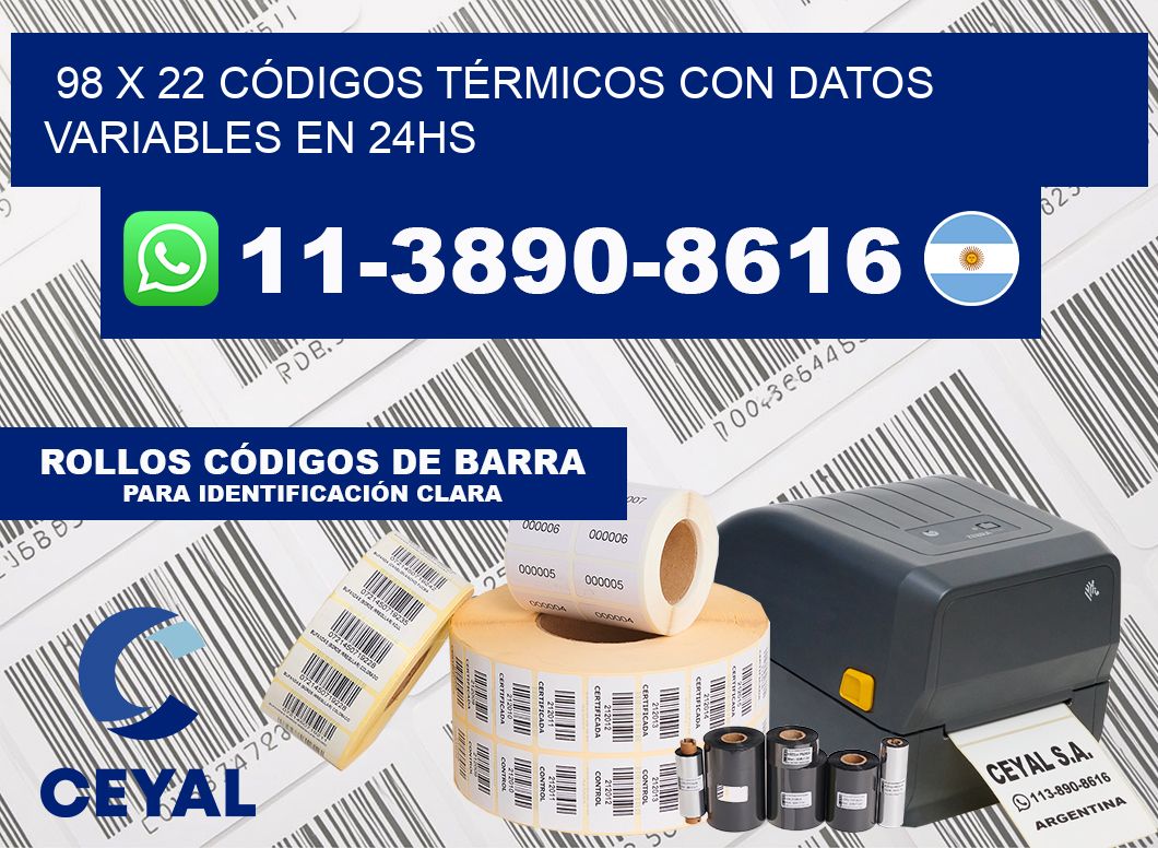 98 x 22 CÓDIGOS TÉRMICOS CON DATOS VARIABLES EN 24HS