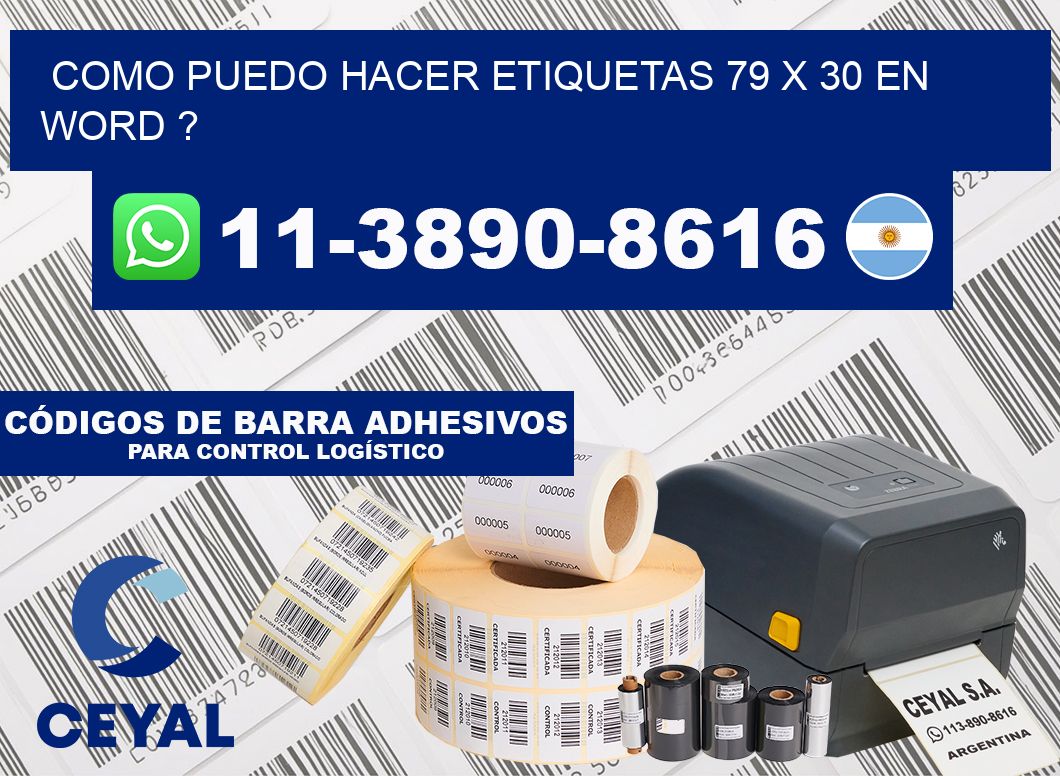 como puedo hacer etiquetas 79 x 30 en word ?